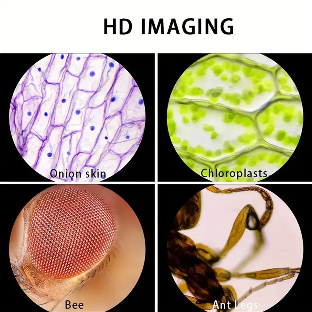 Microscope 60-120X Lab Handhel - đánh giá và giá Microscope Kids Science